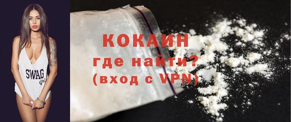 твердый Магас
