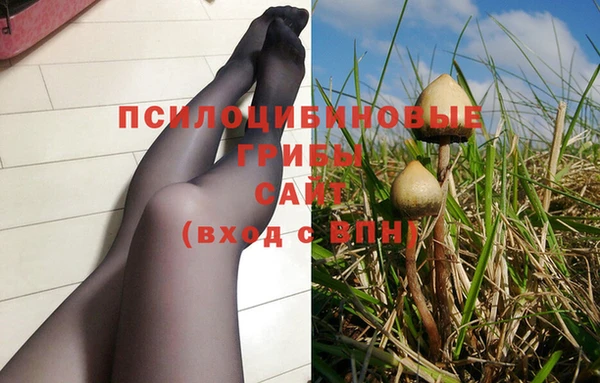 спиды Магадан