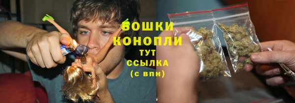 твердый Магас
