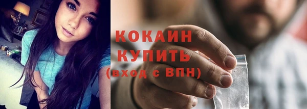 твердый Магас