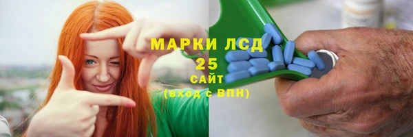 твердый Магас