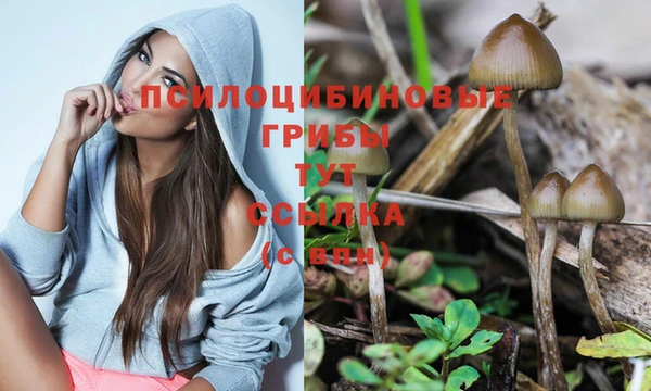 спиды Магадан