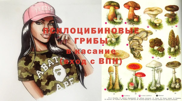 твердый Магас