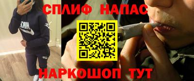 прущие грибы Конаково