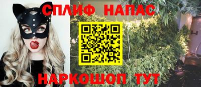 прущие грибы Конаково