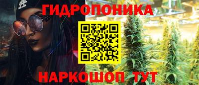 прущие грибы Конаково
