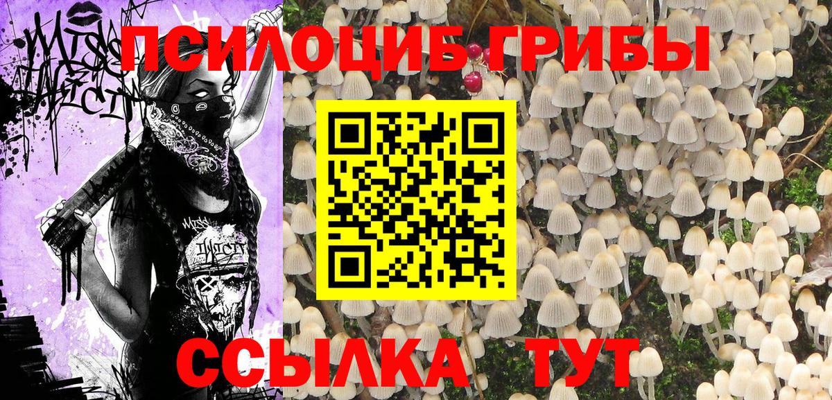 Галлюциногенные грибы ЛСД  Галлюциногенные грибы Psilocybine cubensis  Вход с VPN  Серпухов 